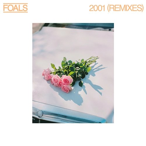 2001 Foals