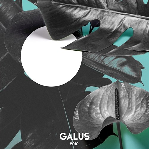 2010 Galus