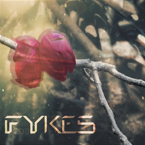 2011 Fykes