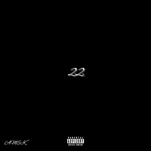 22 Amek
