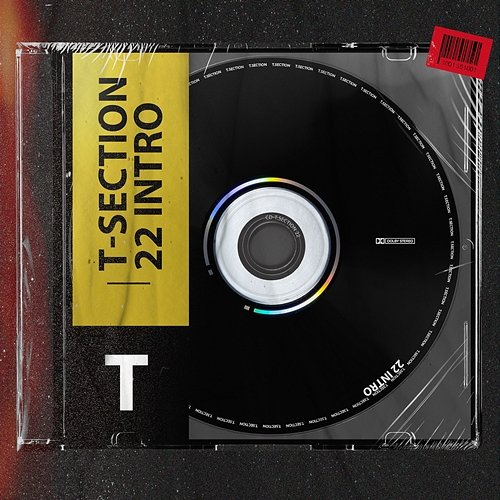 22Intro T Section, M4