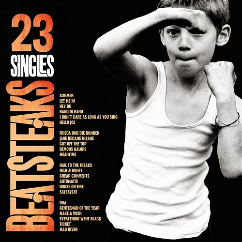 23 Singles Beatsteaks
