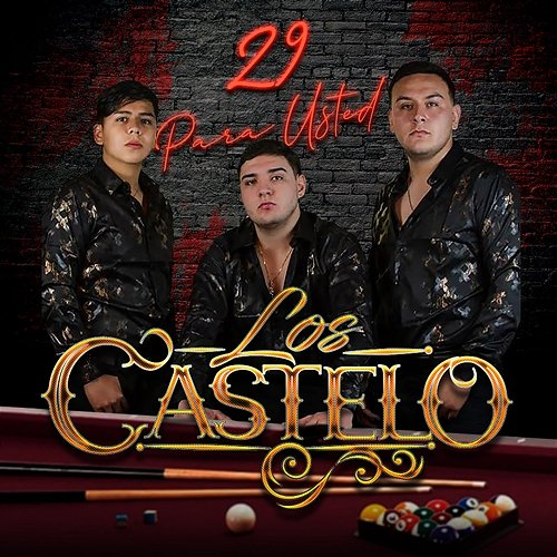 29 Para Ustedes Los Castelo