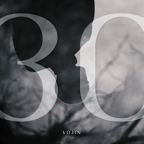 30 Vojin