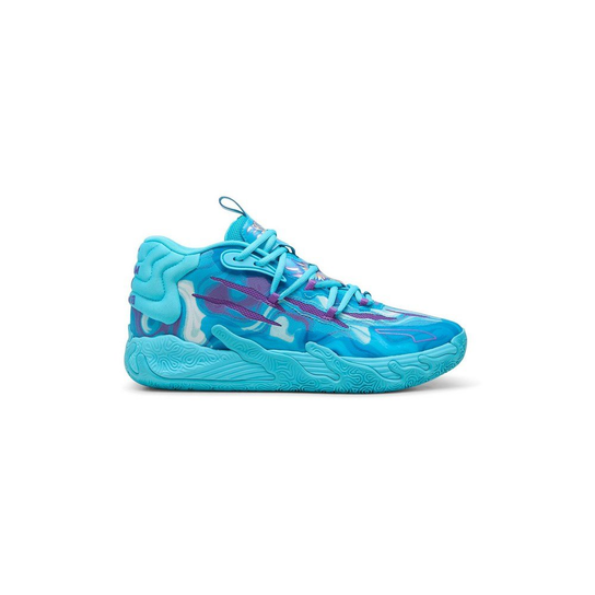 30986701 Puma
