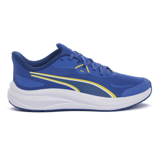 31241309 Puma