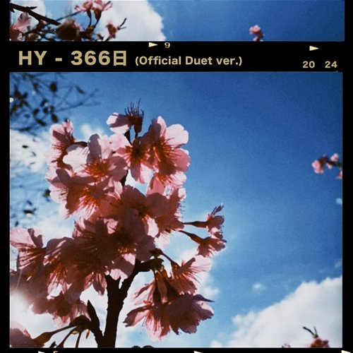 366 Days Hy