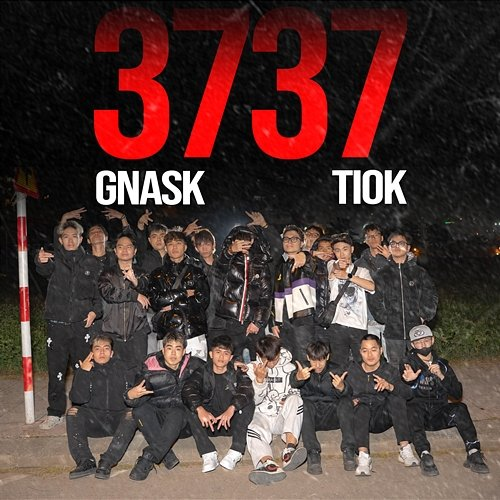 3737 TioK, Gnask