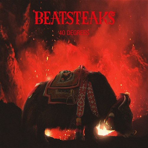 40 Degrees Beatsteaks