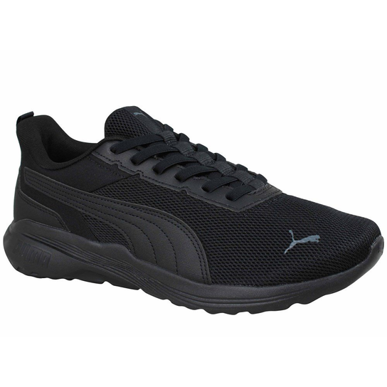 40631201 Puma