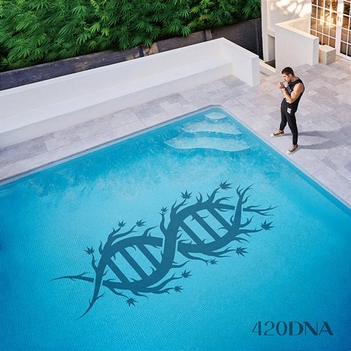 420DNA Chillinit
