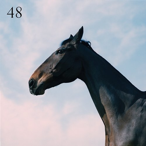 48 Moss Kena feat. Jay Prince