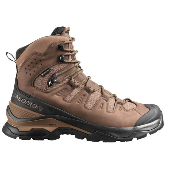 491385 Salomon