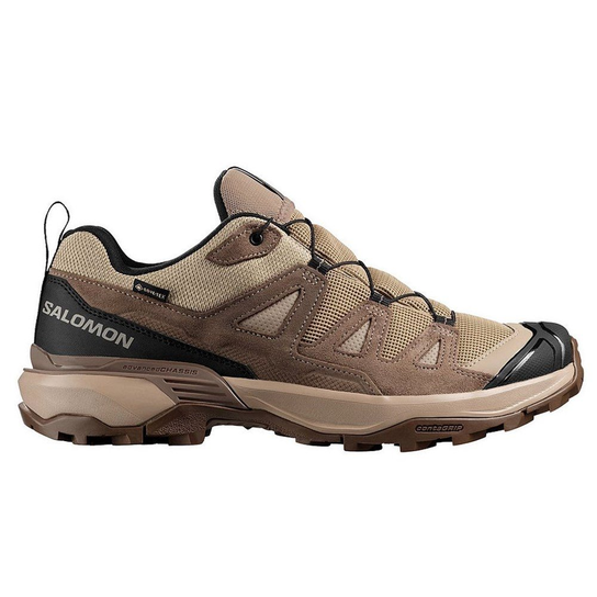 491585 Salomon