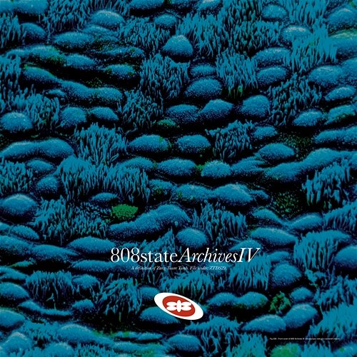 808 Archives 808 State