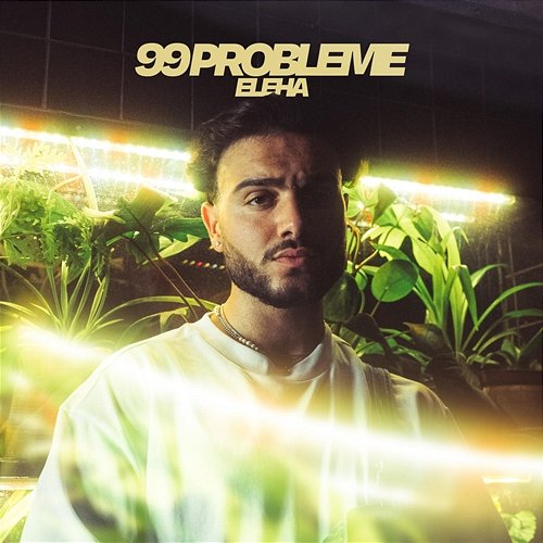99 Probleme ELEHA