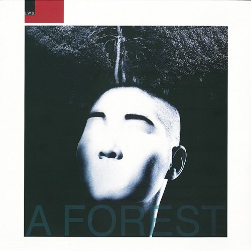 A Forest L. W. S.
