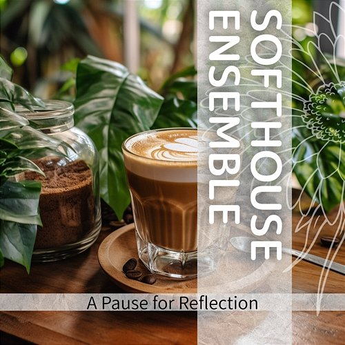 A Pause for Reflection Softhouse Ensemble