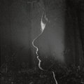 A Thousand Hearts Wren Hinds