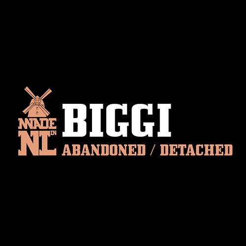 Abandoned / Detached BIGGI