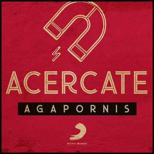 Acércate Agapornis