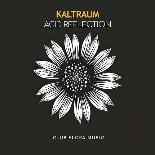 Acid Reflection Kaltraum