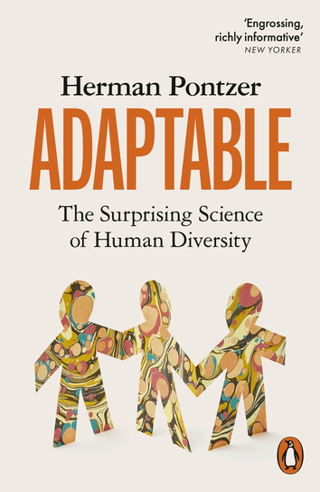 Adaptable Pontzer Herman
