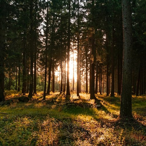 Air Johann Sebastian Bach, Martèn LeGrand & Calming Land