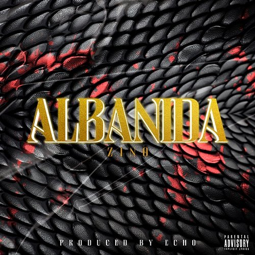 Albanida Zino, Echo