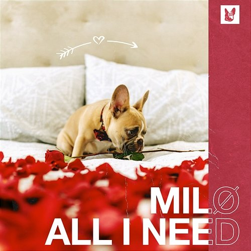 All I Need Milø