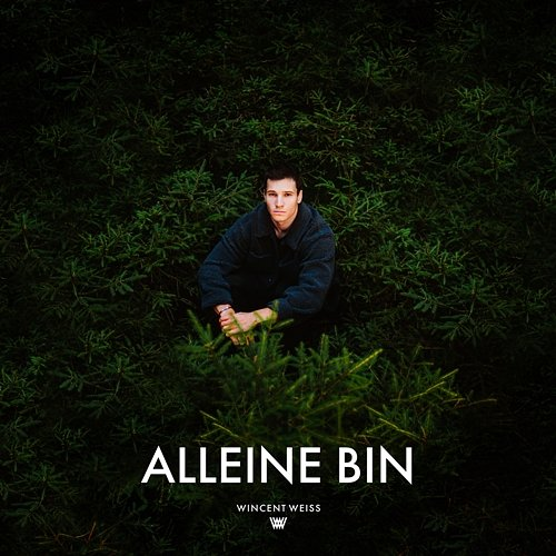 Alleine Bin Wincent Weiss