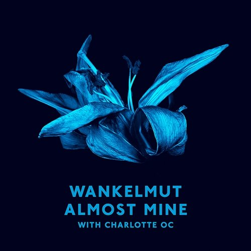 Almost Mine Wankelmut, Charlotte OC