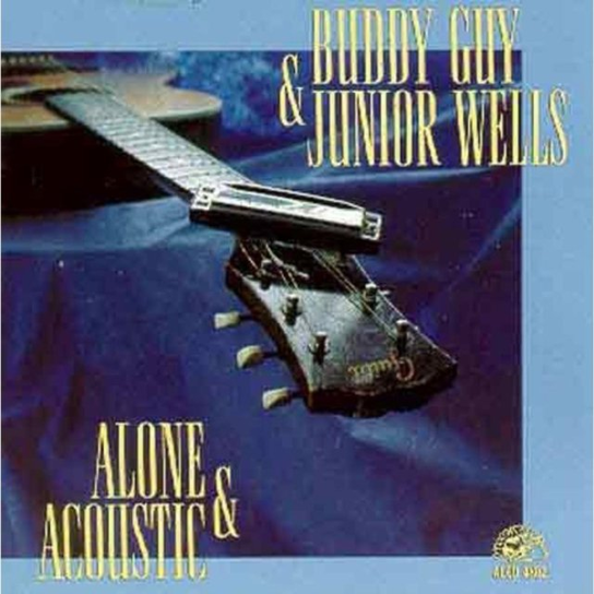 Alone & Acoustic Guy Barry