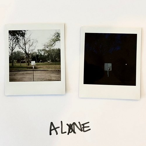 Alone Kayzo, Our Last Night