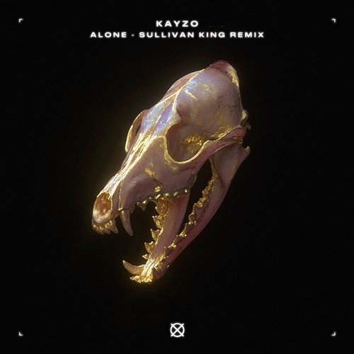 Alone Kayzo, Our Last Night