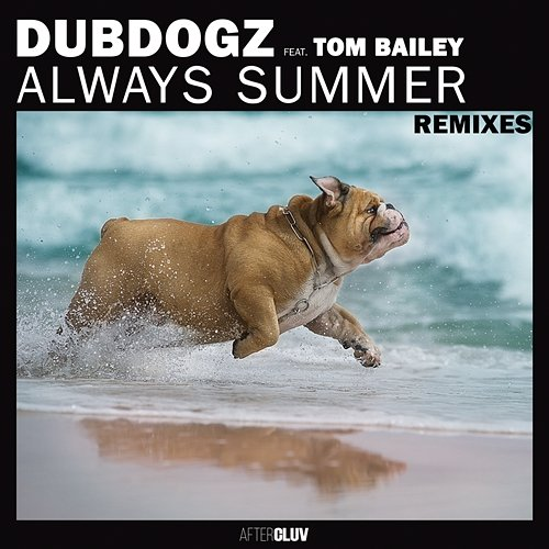 Always Summer Dubdogz, Tom Bailey