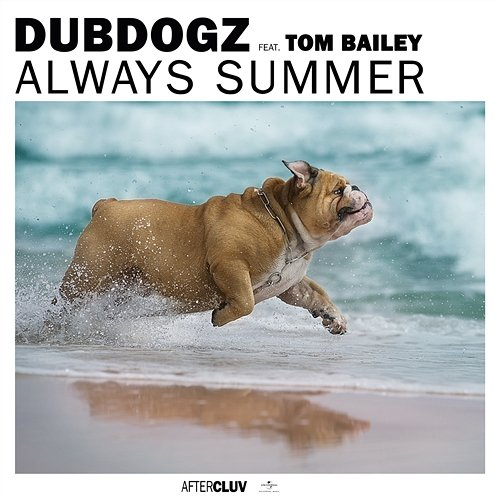 Always Summer Dubdogz, Tom Bailey