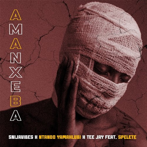 Amanxeba Ntando Yamahlubi, Tee Jay, Snijavibes