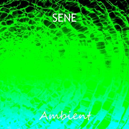 Ambient SENE