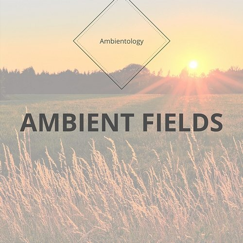 Ambient Fields Ambientology