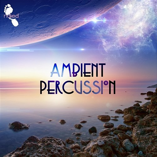 Ambient Percussion Stephen Michael Newman, Michael Jay McClellan