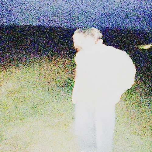 ambient/plate matiorzel