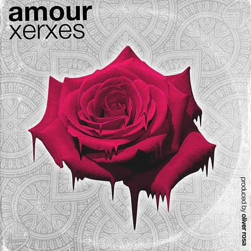 Amour Xerxes