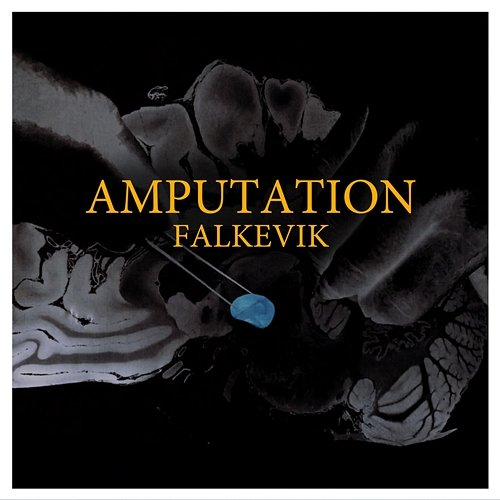Amputation Falkevik