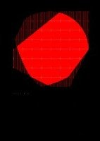 Analog Algorithm Grunberger Christoph