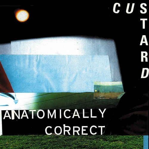 Anatomically Correct Custard