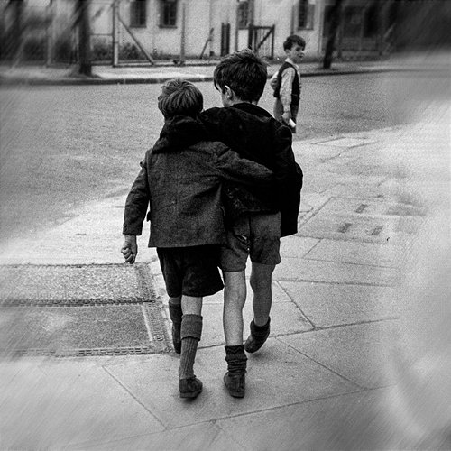 ANCORA NOI ZORIK & Young Ned