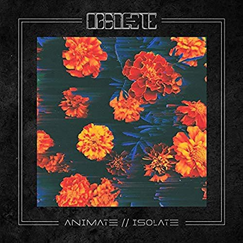 Animate // Isolate Various Artists