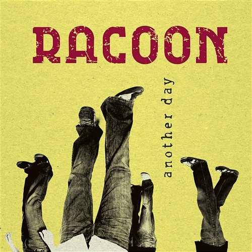 Another Day Racoon