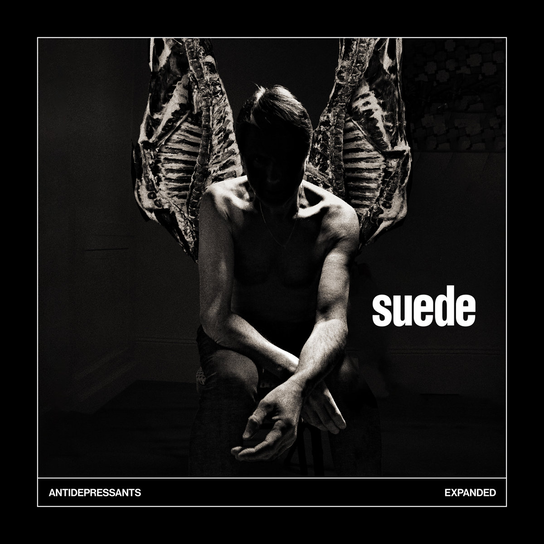 Antidepressants: Expanded Suede